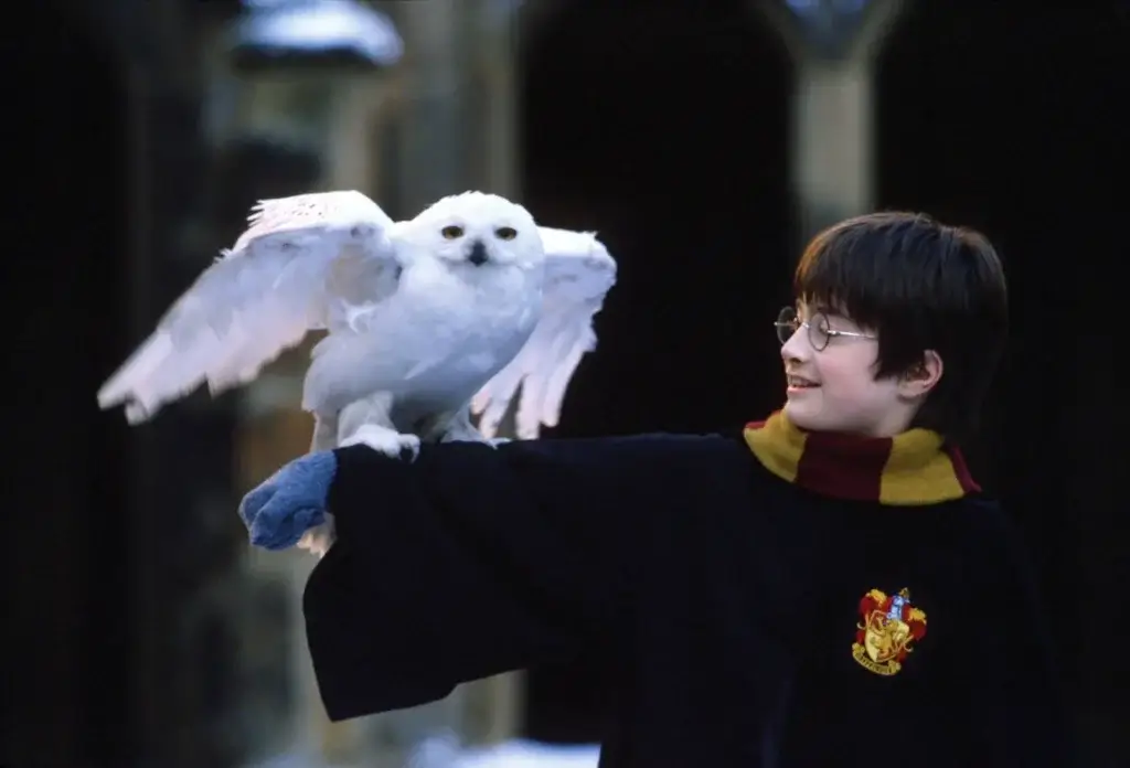 Harry Potter with his Owl